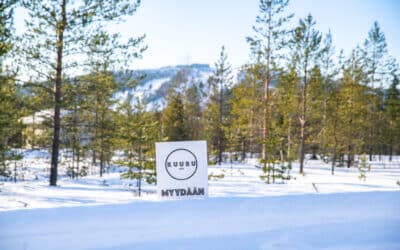 Syötteen alueen loma-asuntojen arvonnousu